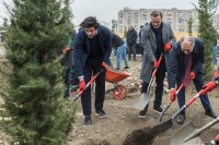 ვარკეთილში 1300 ძირი მარადმწვანე ხე დაირგო ვარკეთილში 1300 ძირი მარადმწვანე ხე დაირგო