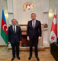 საქართველოს ელჩი აზერბაიჯან-საქართველოს მეგობრობის ჯგუფის ხელმძღვანელს შეხვდა