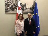 თამარ ხულორდავა რუმინეთის სენატის ევროპულ საქმეთა კომიტეტის თავმჯდომარეს შეხვდა