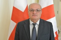ფრაქცია „ქართული ოცნება-მწვანეების“ თავმჯდომარე, გიორგი გაჩეჩილაძე ევროპელ კოლეგებს არჩევნებში გამარჯვებას ულოცავს