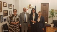 სოფიო ქაცარავა ევროკავშირი-საქართველოს საპარლამენტო ასოცირების კომიტეტის დელეგაციას შეხვდა