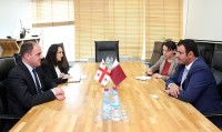 დავით ნარმანია ყატარის ელჩს შეხვდა