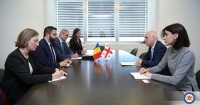 დავით ზალკალიანი რუმინეთის სახელმწიფო მინისტრს შეხვდა