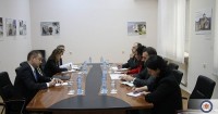 საგარეო საქმეთა მინისტრის მოადგილე ევროპის საბჭოს გენერალური მდივნის მოადგილეს შეხვდა