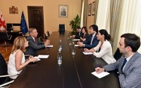პარლამენტის თავმჯდომარე NDI-ის დირექტორთა საბჭოს წევრს შეხვდა