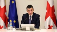 გიორგი გახარია: ფეიკ ნიუსებისა და მოდელირებული რეალობის მეშვეობით, ადამიანებმა საერთაშორისო დონეზე პოლიტიკური მსჯელობის საგნად გახადეს ბატონი რურუა მაშინ, როდესაც ქართული საზოგადოებისთვის საკითხის მსგავს ტონალობაში დაყენება ტრაგიკულია