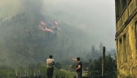 "ng.ru" (რუსეთი): ქართული ტყეების გადაწვაში რუსეთის კვალი ჩანს?!