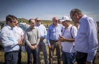  კახეთში კალიის საწინააღმდეგო ქიმიური წამლობის სახელმწიფო პროგრამის განხორციელება დაიწყო