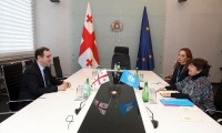 მიხეილ ჩხენკელი გაეროს ბავშვთა ფონდის წარმომადგენელს შეხვდა
