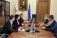 ეკა ბესელიამ და ევროკავშირის წარმომადგენლებმა სახელმწიფო ინსპექტორის სამსახურის შექმნის თაობაზე ისაუბრეს