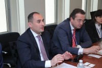 დიმიტრი ქუმსიშვილი მრავალმხრივი საინვესტიციო გარანტიების სააგენტოს ვიცე-პრეზიდენტს შეხვდა 