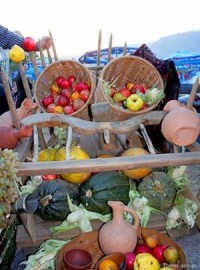 „თბილისობის“ ფარგლებში დღეს რადენიმე ღონისძიება გაიმართება  