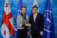 არჩილ თალაკვაძე ევროპის საბჭოს გენერალურ მდივანს შეხვდა არჩილ თალაკვაძე ევროპის საბჭოს გენერალურ მდივანს შეხვდა