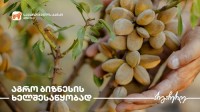 საქართველოს ბანკი მცირე და საშუალო ბიზნესს ახალ აგროპროექტს სთავაზობს