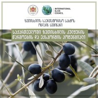 ლევან დავითაშვილმა ზეთისხილის საერთაშორისო საბჭოს (IOC) სხდომაზე, საქართველოში, ზეთისხილის კულტურის წარმოებისა და ექსპორტის პოტენციალზე ისაუბრა