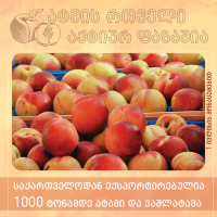 საქართველოდან 1000 ტონამდე ატმისა და ვაშლატამას ექსპორტი განხორციელდა