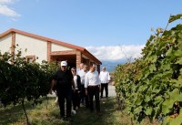ლევან დავითაშვილი: ჩვენი სახელმწიფო პროგრამის „ახალგაზრდა მეწარმე“ ფარგლებში, მხოლოდ კახეთის რეგიონში, ათობით ახალი საოჯახო მარანი აშენდა