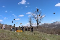 ფოლადაურის ხეობაში ველური ბუნების სააგენტომ 60 ფრთა კოლხური ხოხობი გაუშვა, ხოლო მდინარე ფოლადაური ხრამის აუზის პოპულაციის კალმახით დაათევზიანა