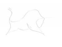 ტექნიკისა და მანქანა-დანადგარებით ვაჭრობის პლატფორმა BIZON.ge მომხმარებლებისთვის უკვე ხელმისაწვდომია