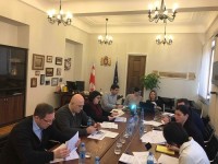 პარლამენტის საგარეო ურთიერთობათა კომიტეტმა სამოქმედო გეგმის სტრატეგიაზე იმსჯელა