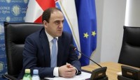 დავით ნარმანია საკრებულოში 2016 წლის ანგარიშით წარსდგება