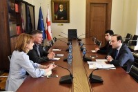 ოხანაშვილი კომიტეტის ინსტიტუციური განვითარების საკითხებთან დაკავშირებით UNDP-ის საერთაშორისო ექსპერტს და ევროკავშირისა და UNDP-ის საერთო პროექტის მენეჯერს შეხვდა