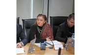 თბილისის მერის მეხუთე მოადგილე სოფიო ხუნწარია გახდა