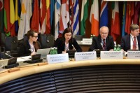 სოფიო ქაცარავამ ვენაში ანგარიშის ძირითად მიმართულებებზე ისაუბრა, რომელსაც საზაფხულო სესიაზე წარადგენს
