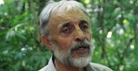 კობა არაბული: „საიას“ ენას ძვალი არა აქვს