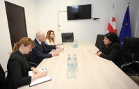 სალომე ზურაბიშვილი გერტ- ჰაინრიხ არენსს შეხვდა