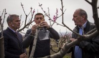 კახეთის რეგიონში აზიური ფაროსანას მონიტორინგის სისტემების დამონტაჟება დაიწყო