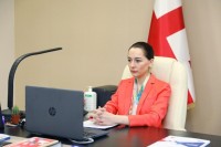 შინაგან საქმეთა მინისტრის მოადგილე გაეროს მიერ შექმნილი „მიგრაციის ქსელის“ პრეზენტაციას დაესწრო