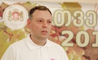 რაჭაში ყურძნის მოსავლის დიდი ნაწილი დაბინავებულია
