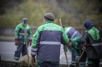 მერიის გარემოს დაცვის საქალაქო სამსახური დიდუბის ხიდთან, მტკვრის მარცხენა სანაპიროზე არსებულ შუა გამყოფ ზოლს ამწვანებს 