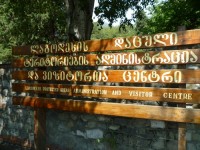 ლაგოდეხის დაცულ ტერიტორიაზე ცეცხლსასროლი იარაღით გადაადგილების გამო 6 პირი დაჯარიმდა