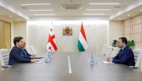 თავდაცვის მინისტრის უნგრეთის ელჩს შეხვდა