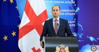 მიხეილ ჯანელიძე: დიასპორასთან კავშირების გამყარების კუთხით მნიშვნელოვანი ნაბიჯები გადაიდგა