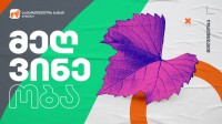 საქართველოს ბანკის მხარდაჭერით ყაზბეგში სასტუმრო „ 360° HOTEL KAZBEGI “ გაიხსნება