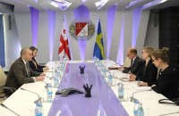 მამუკა ბახტაძე შვედეთის ელჩს შეხვდა