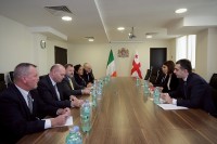ეკონომიკის სამინისტროში ირლანდიის საპარლამენტო დელეგაციასთან შეხვედრა გაიმართა