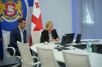  ნათია თურნავამ „ნოკიას“ რეგიონულ დირექტორს საქართველოს ბიზნეს გარემო და საინვესტიციო პოტენციალი გააცნო