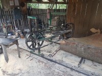 აგვისტოს თვეში ხე-ტყის უკანონო მოპოვებისა და ტრანსპორტირების 257 ფაქტი გამოვლინდა