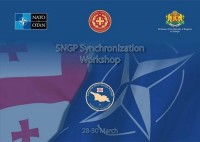 უვიზო რეჟიმის ამოქმედებასთან დაკავშირებით საგარეო უწყებაში ცხელი ხაზი მოქმედებს