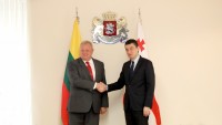 გიორგი გახარია ლიეტუვას მთავრობის კანცლერს შეხვდა