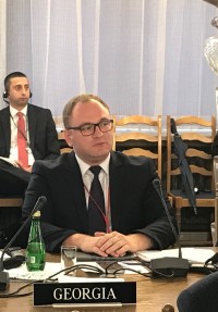 საქართველოს პარლამენტის დელეგაცია ვარშავაში, ნატოს საპარლამენტო ასამბლეის საგაზაფხულო სესიაში მონაწილეობს