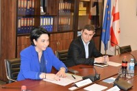ეკა ბესელია საერთაშორისო ექსპერტებს შეხვდა