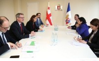 ​საქართველოს პრეზიდენტი სესილია მალმსტრომს შეხვდა