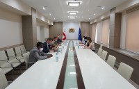 თეა  ახვლედიანი ჟენევის თანათავმჯდომარეებს შეხვდა