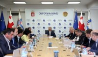   დავით ნარმანია: ცინცაძე-კარტოზიას ქუჩების დამაკავშირებელი ესტაკადის პროექტის შეჩერების ერთადერთი მიზეზი 87 ხე-მცენარის შენარჩუნებაა