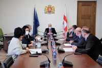 ჯანმრთელობის დაცვისა და სოციალურ საკითხთა კომიტეტში კომიტეტის დებულება დაამტკიცეს და კომიტეტის თავმჯდომარის მოადგილეები აირჩიეს